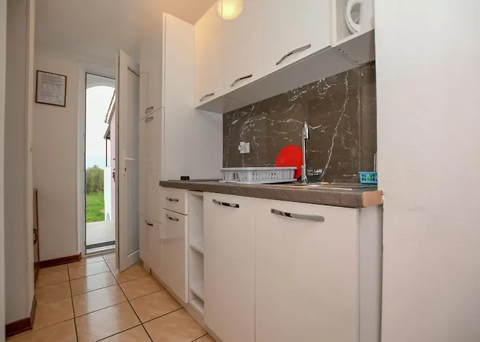 Camelia ポレッチ