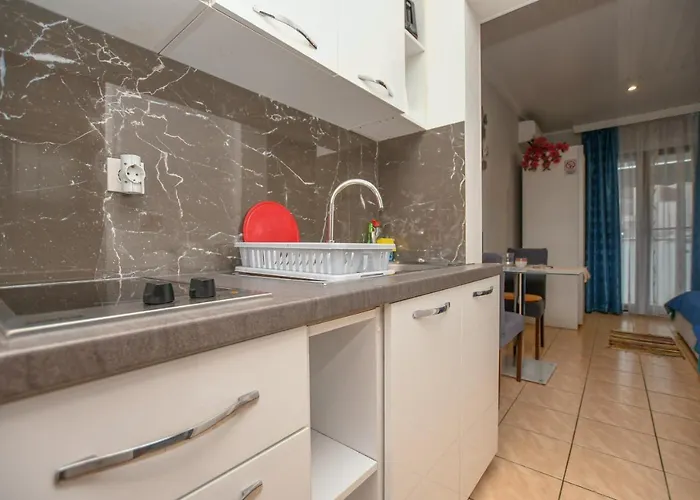 Camelia ポレッチ