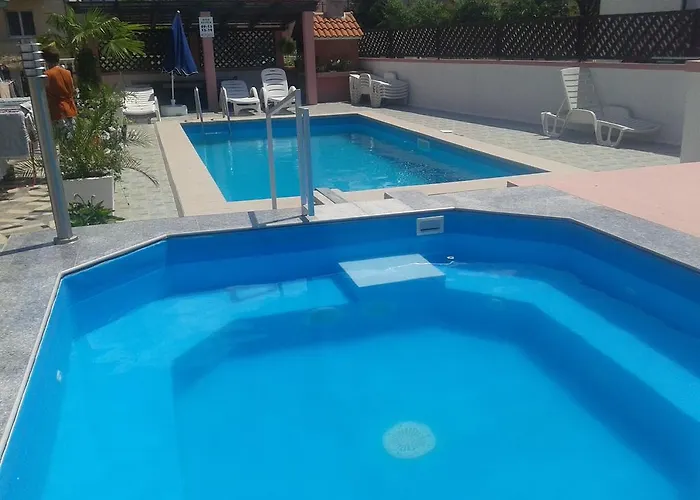 Camelia * ポレッチ