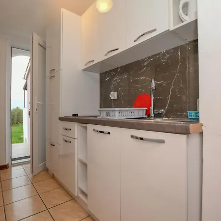 Camelia Πόρετς