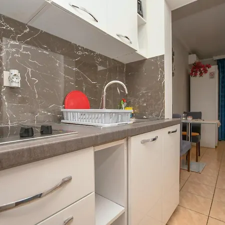 Camelia Πόρετς