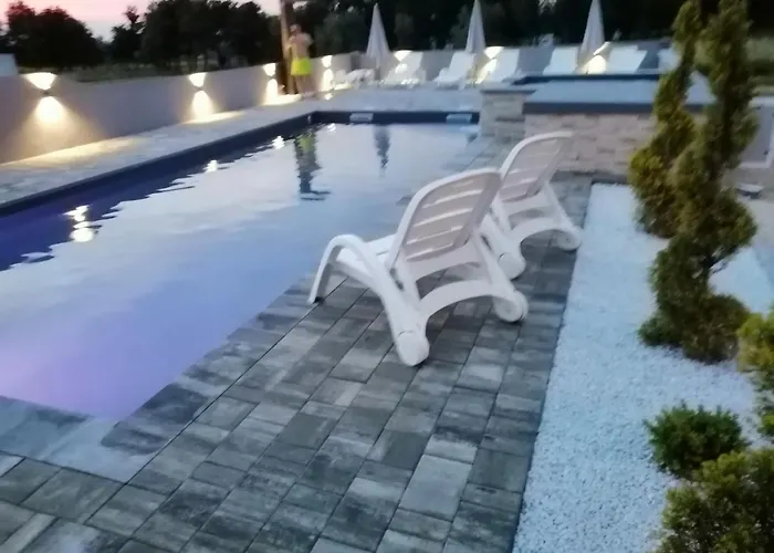 Camelia * بوريتش