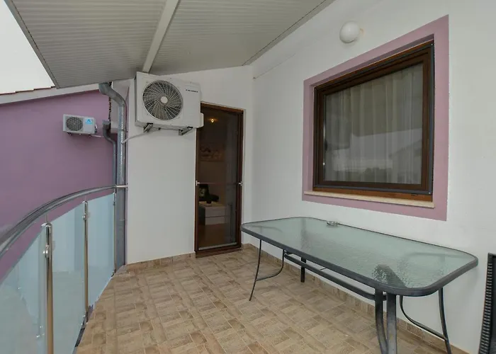 Camelia بوريتش