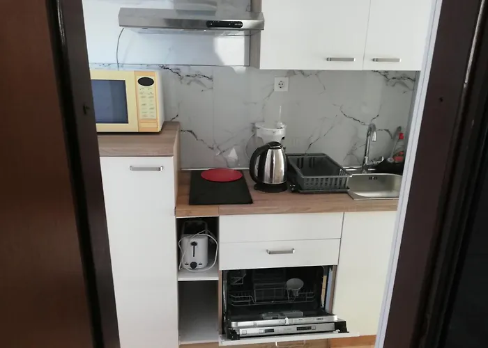 Camelia * بوريتش